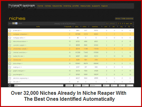 Profitable Niches